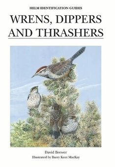 Бумажная книга «Wrens, Dippers and Thrashers» - фото №1 - миниатюра