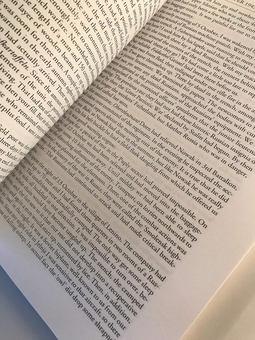 Електронна книга «Adventures in My Youth», автор Армін Шайдербауер - фото №5 - мініатюра