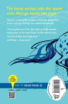 Паперова книга «The Horse Dreamer (PB)», автор Холлі Сюрпліс - фото №2 - мініатюра