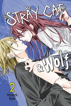 Бумажная книга «Stray Cat & Wolf. Volume 2», автор Миюки Мицубати - фото №1 - миниатюра