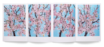 Бумажная книга «Damien Hirst. Cherry Blossoms», автор Дэмьен Херст - фото №9 - миниатюра
