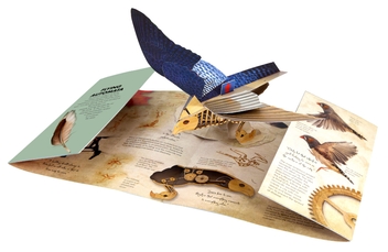 Бумажная книга «Leonardo da Vinci's Robots», автор Дэвид Хоукок - фото №2 - миниатюра