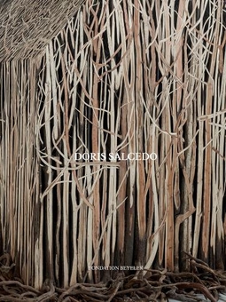 Паперова книга «Doris Salcedo», авторів Селуа Лусте Бульбіна, Мері Шнайдер Енрікес, Оушен Вуонг - фото №1 - мініатюра