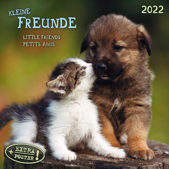 Бумажная книга «Календарь на 2022 Little Friends - Kleine Freunde» - фото №1 - миниатюра