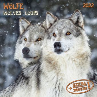 Бумажная книга «Календарь на 2022 Wolves - Wölfe» - фото №1 - миниатюра