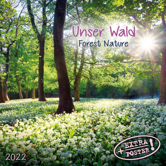 Бумажная книга «Календарь на 2022 Forest Nature - Unser Wald» - фото №1 - миниатюра