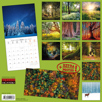Бумажная книга «Календарь на 2022 Forest Nature - Unser Wald» - фото №2 - миниатюра