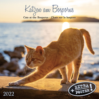 Бумажная книга «Календарь на 2022 Cats at the Bosperous - Katzen am Bosporus » - фото №1 - миниатюра