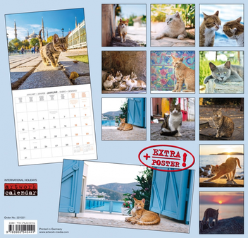 Бумажная книга «Календарь на 2022 Cats at the Bosperous - Katzen am Bosporus » - фото №2 - миниатюра