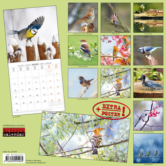 Бумажная книга «Календарь на 2022 Birds in our Gardens - Heimische Vögel» - фото №2 - миниатюра