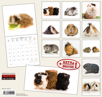 Бумажная книга «Календарь на 2022 Guinea Pigs - Meerschweinchen» - фото №2 - миниатюра