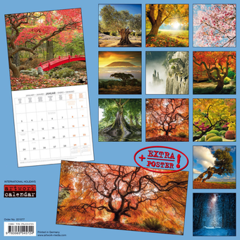 Бумажная книга «Календарь на 2022 The Power of Trees - Die Kraft der Bäume» - фото №2 - миниатюра