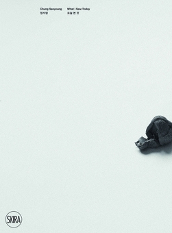Бумажная книга «Chung Seoyoung. Wave», авторов Джихан Джанг, Чус Мартинес, Марина Вишмидт - фото №1 - миниатюра