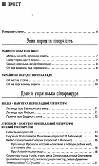 Бумажная книга «Хрестоматія. Українська література. 9 клас», автор Ольга Слоневская - фото №2 - миниатюра