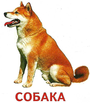 Бумажная книга «Картки міні. Свійські тварини» - фото №2 - миниатюра