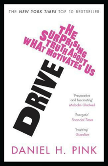 Бумажная книга «Drive: The Surprising Truth About What Motivates Us», автор Дэниел Пинк - фото №1 - миниатюра