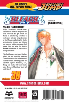 Бумажная книга «Bleach. Volume 38», автор Тайто Кубо - фото №2 - миниатюра