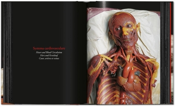 Бумажная книга «Anatomical Waxes», автор Марта Поггеси - фото №10 - миниатюра