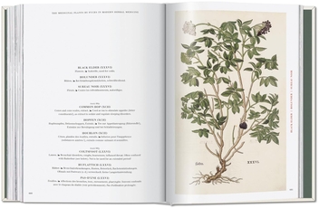Paper book «Leonhart Fuchs: The New Herbal», author Werner Dressendörfer - фото №10 - миниатюра