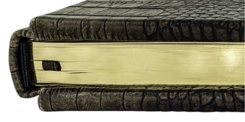 Бумажная книга «Ежедневник (именной)» - фото №9 - миниатюра
