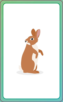 Бумажная книга «English for Everyone Junior: First Words Animals Flash Cards» - фото №6 - миниатюра