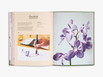 Паперова книга «Art Class: Flowers and Foliage: Creating Contemporary Botanical Art», автор Сара Хенкінсон - фото №3 - мініатюра