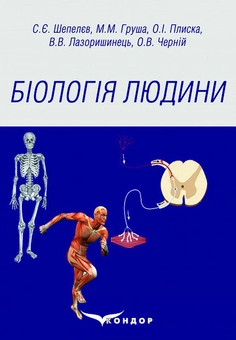 Паперова книга «Біологія людини. Навчальний посібник», авторів Сергій Шепелєв, Михайло Груша, Олександр Плиска - фото №1 - мініатюра