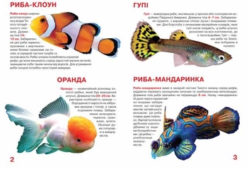 Бумажная книга «Велика книжка. Тропічні риби», автор Олег Завязкин - фото №3 - миниатюра