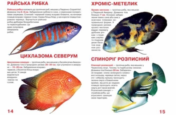 Бумажная книга «Велика книжка. Тропічні риби», автор Олег Завязкин - фото №4 - миниатюра