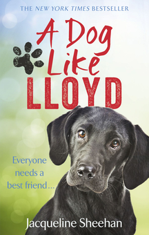 Паперова книга «A Dog Like Lloyd», автор Жаклін Шихан - фото №2 - мініатюра