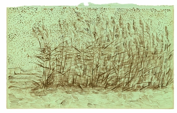 Бумажная книга «Vincent van Gogh. The Lost Arles Sketchbook», автор Богомила Уэлш-Овчаров - фото №5 - миниатюра