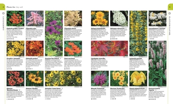 Бумажная книга «RHS What Plant Where Encyclopedia» - фото №4 - миниатюра