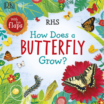 Паперова книга «How Does a Butterfly Grow?» - фото №1 - мініатюра