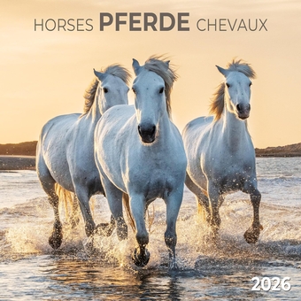 Бумажная книга «Pferde/Horses/Chevaux 2026» - фото №1 - миниатюра