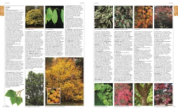 Паперова книга «RHS A-Z Encyclopedia of Garden Plants» - фото №5 - мініатюра