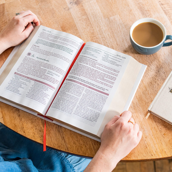 Паперова книга «NIV Bible in One Year with Commentary by Nicky and Pippa Gumbel», автор Нікі Гамбель - фото №3 - мініатюра