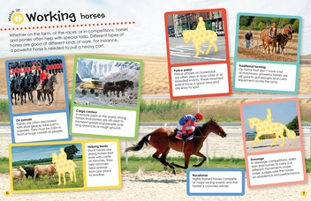 Бумажная книга «Horses and Ponies Ultimate Sticker Book » - фото №8 - миниатюра