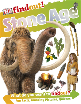 Бумажная книга «Stone Age» - фото №1 - миниатюра