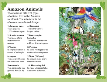 Паперова книга «Rainforest Explorer», автор Руперт Метьюз - фото №5 - мініатюра