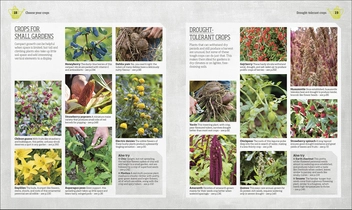 Бумажная книга «Incredible Edibles. Grow Something Different in Your Fruit and Veg Plot», автор Мэтью Биггс - фото №4 - миниатюра