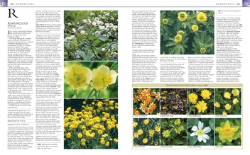 Паперова книга «RHS Encyclopedia of Perennials» - фото №2 - мініатюра