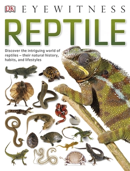 Бумажная книга «Reptile» - фото №1 - миниатюра