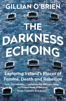 Бумажная книга «The Darkness Echoing», автор Джиллиан О'брайен - фото №1 - миниатюра