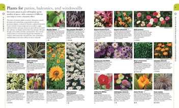 Бумажная книга «RHS What Plant Where Encyclopedia» - фото №5 - миниатюра