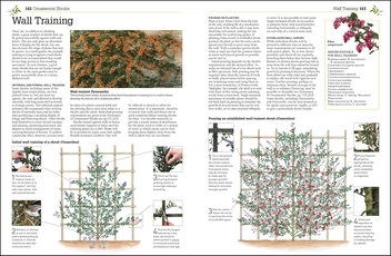 Бумажная книга «RHS Pruning & Training. Revised New Edition; Over 800 Plants; What, When, and How to Prune», авторов Кристофер Брикелл, Дэвид Джойс - фото №5 - миниатюра