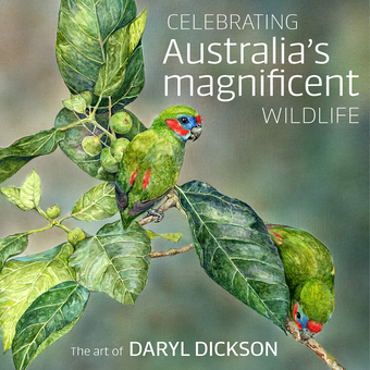 Бумажная книга «Celebrating Australia's Magnificent Wildlife», автор Дэрил Диксон - фото №1 - миниатюра
