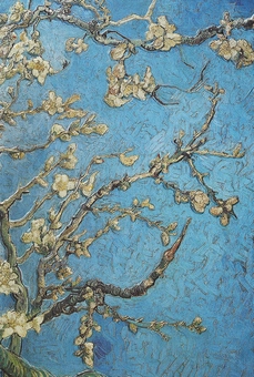 Паперова книга «Almond Blossom by Van Gogh» - фото №1 - мініатюра