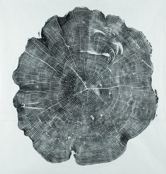 Паперова книга «Woodcut», автор Брайан Неш Гілл - фото №7 - мініатюра