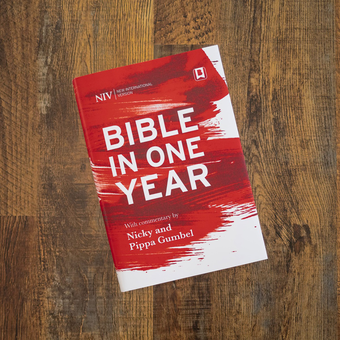 Паперова книга «NIV Bible in One Year with Commentary by Nicky and Pippa Gumbel», автор Нікі Гамбель - фото №6 - мініатюра