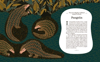 Бумажная книга «A Wild Child's Guide to Endangered Animals», автор Милли Маротта - фото №3 - миниатюра